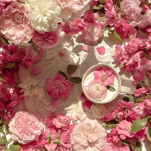 日本人一二三区性群交
